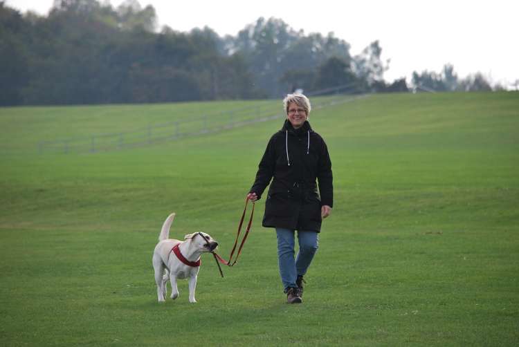 Las personas mayores que pasean a sus perros son más saludables Paseando con su perro
