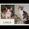 Laila y Lulu