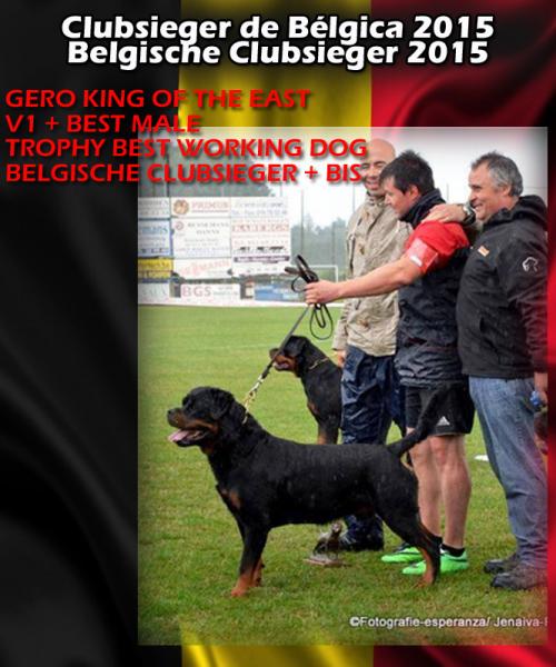Rottweiler. CH. GERO KING OF THE EAST.