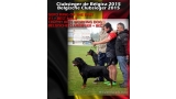 Rottweiler. CH. GERO KING OF THE EAST.