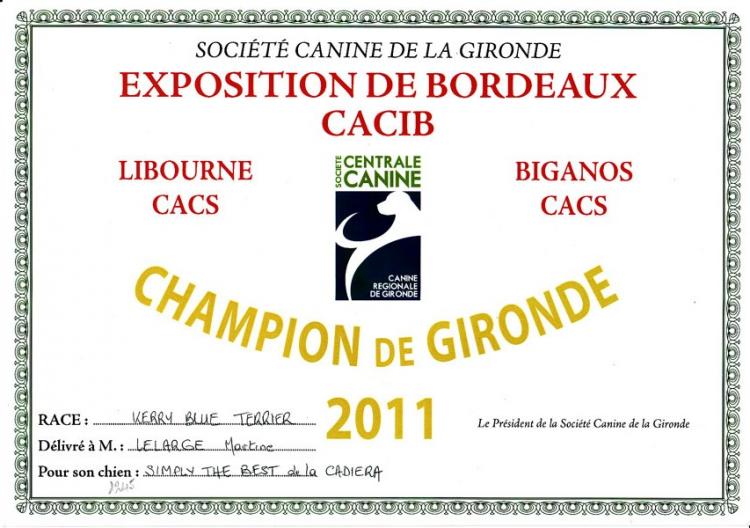 Kerry Blue Terrier. Gironde Ch. Simply the Best de La Cadiera.