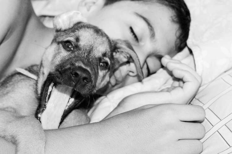 hospital de Madrid permite que los niños reciban la visita de sus mascotas