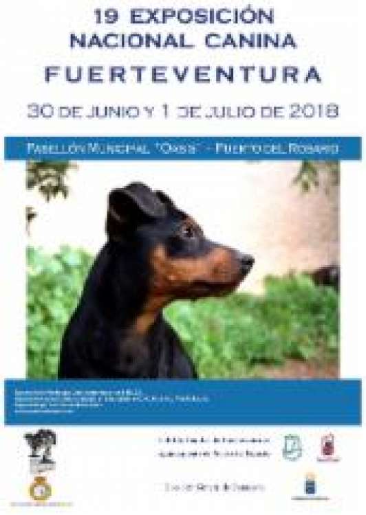 19 Exposición Nacional Canina de Fuerteventura