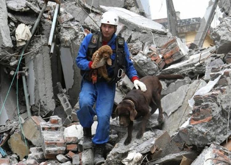 PETSmania - La Unidad Canina de Rescate del Ministerio de Situaciones de Emergencia de Rusia celebra su 20 aniversario.
