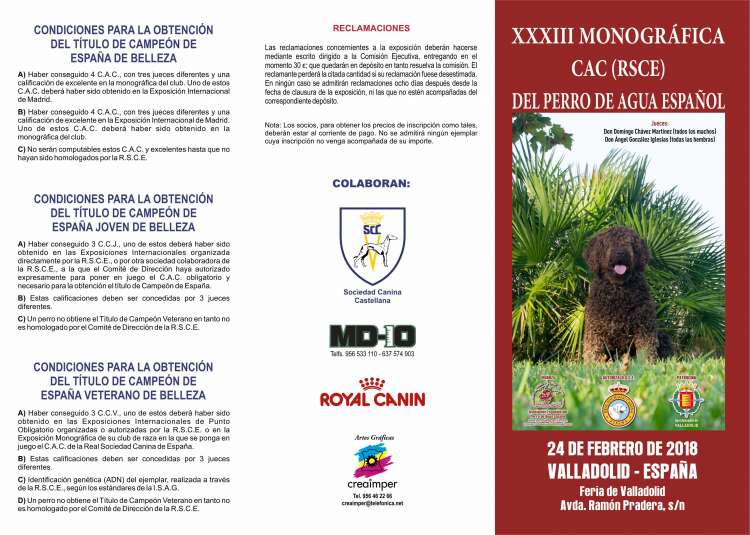 Belleza. XXXIII Exposición Monográfica del perro de agua español ciudad de Valladolid (Valladolid   España)