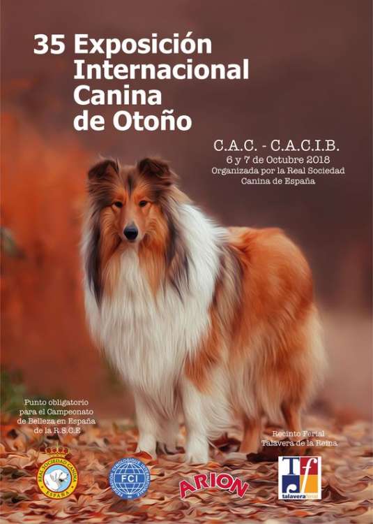 Belleza. 35 EXPOSICIÓN INTERNACIONAL CANINA DE OTOÑO DE LA REAL SOCIEDAD CANINA DE ESPAÑA (Toledo   España)