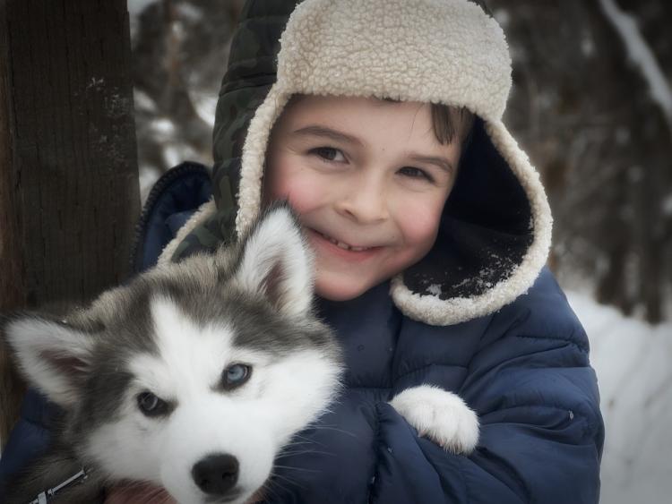 Los niños confían más en sus mascotas que en sus propios familiares.