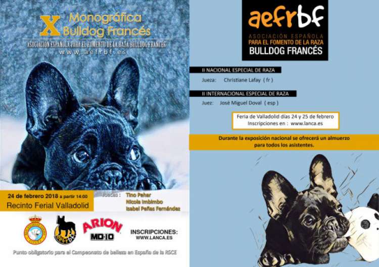 X Monográfica Nacional AEFRBF   Bulldog Frances