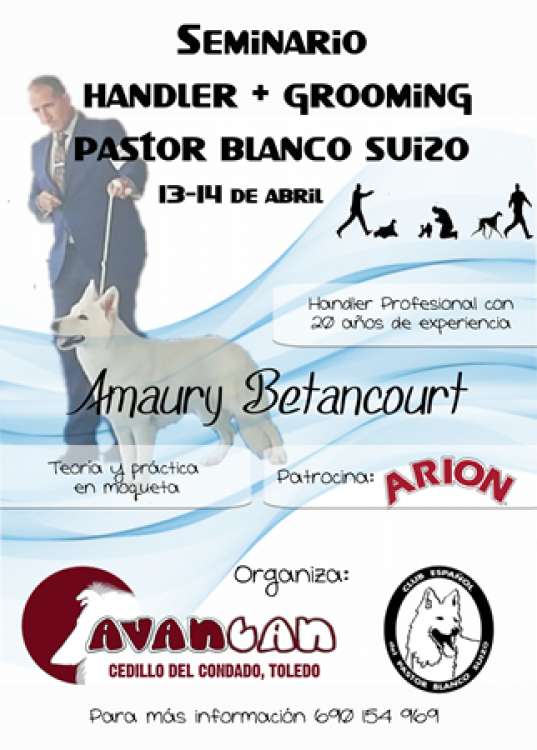 Pastor Blanco Suizo. Cursos. SEMINARIO HANDLER   GROOMING (Toledo   España)