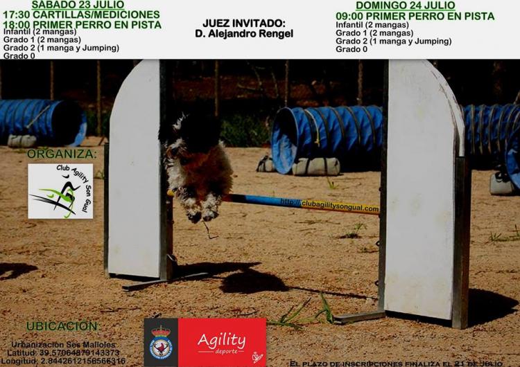 Agility. 33a y 34a PRUEBA PUNTUABLE del CAMPEONATO BALEAR de AGILITY (Illes Balears   España)