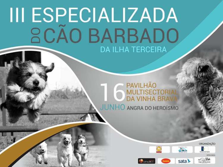 3.ª E. C. Especializada da A.A.C. Barbado da Terceira (CAC)