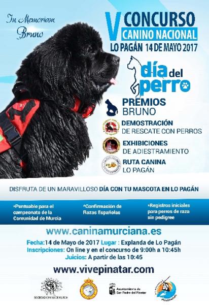 Belleza. V CONCURSO NACIONAL CANINO (Murcia   España)