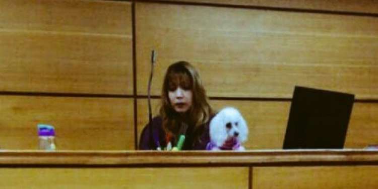 UNA JUEZA Y SU PERRO DIRIGEN AUDIENCIA