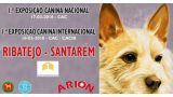 1.ª Exposición Canina E. Cães de Caça de Salvaterra de Magos