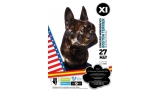 Belleza. XI Concurso Monográfico del Boston Terrier (Madrid   España)