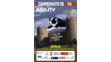 Agility. II Campeonato de España de Agility 2015 ( - España)