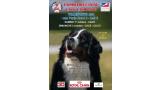 Belleza. EXPOSITION CANINE INTERNATIONALE (CACS   CACIB) (Seine Saint Denis   Francia)