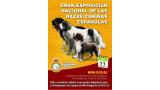 Belleza. GRAN EXPOSICIÓN NACIONAL DE LAS  RAZAS CANINAS ESPAÑOLAS (Madrid   España)