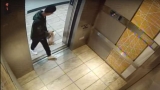 Momento en que el joven entra al ascensor para luego golpear al perro (YOUTUBE)