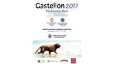 Castellón 2017. The Summer Show