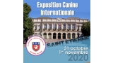 Belleza. EXPOSITION CANINE INTERNATIONALE (CACS   CACIB) (Loire   Francia)