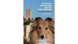 Belleza. Concurso Morfología Canino Vélez Málaga  (Málaga   España)