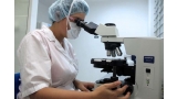 Veterinario analizando con microscopio