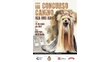 Belleza. I CONCURSO NACIONAL CANINO OZA DOS RÍOS (A Coruña   España)