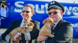 Southwest Airlines transportó 62 perros y gatos para ser adoptados.