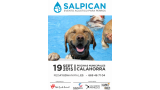 Otros. SALPICAN 2015 (Evento Acuático para Perros) (La Rioja - España)