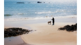 Perro y su amo en la playa