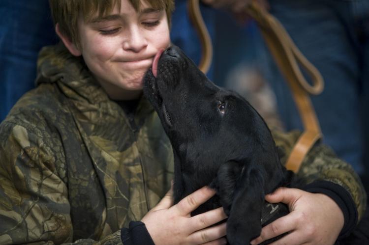 PETSmania - Labrador Retriever negro con niño