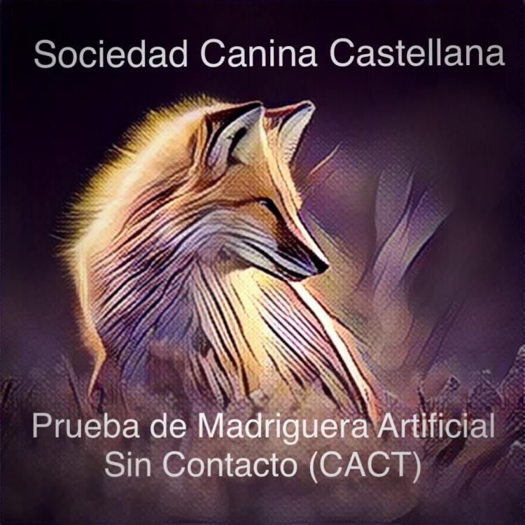 Trabajo. PRUEBA DE MADRIGUERA ARTIFICIAL SIN CONTACTO (CACT) (Salamanca   España)