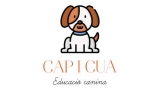 Logo de Capicua